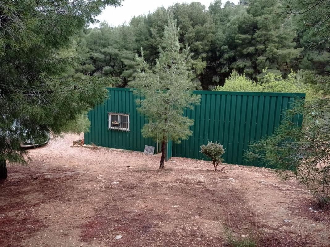 Terreno en venta en Monovar, Alicante photo 1