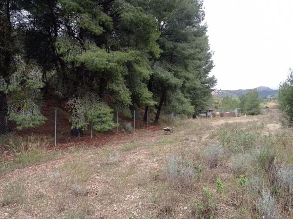 Terreno en Monovar photo 2