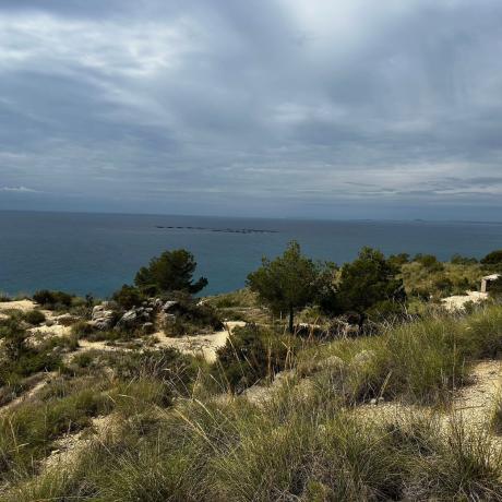 Terreno en Platja de Torres, La Villajoyosa / Vila Joiosa photo 2