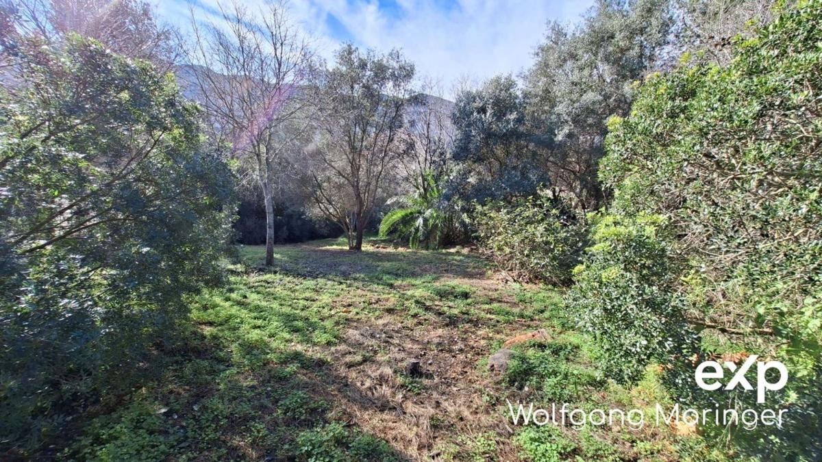 Terreno en venta en Denia, Alicante photo 3
