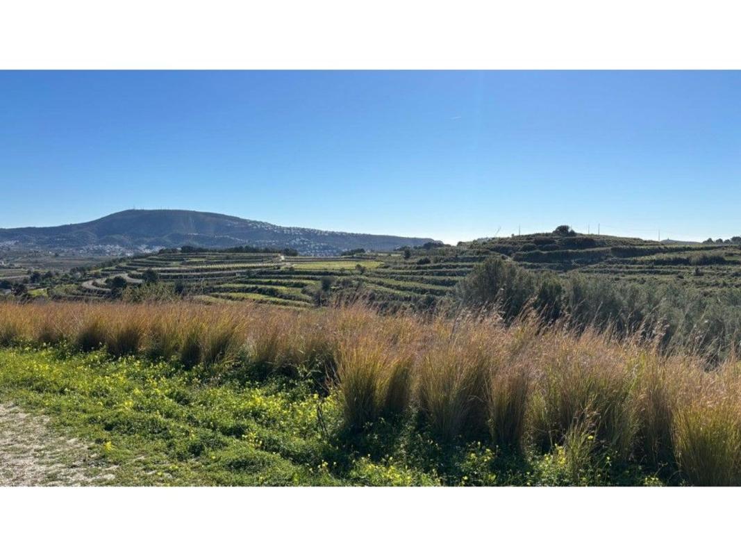 Land for sale in Moraira, Alicante photo 2