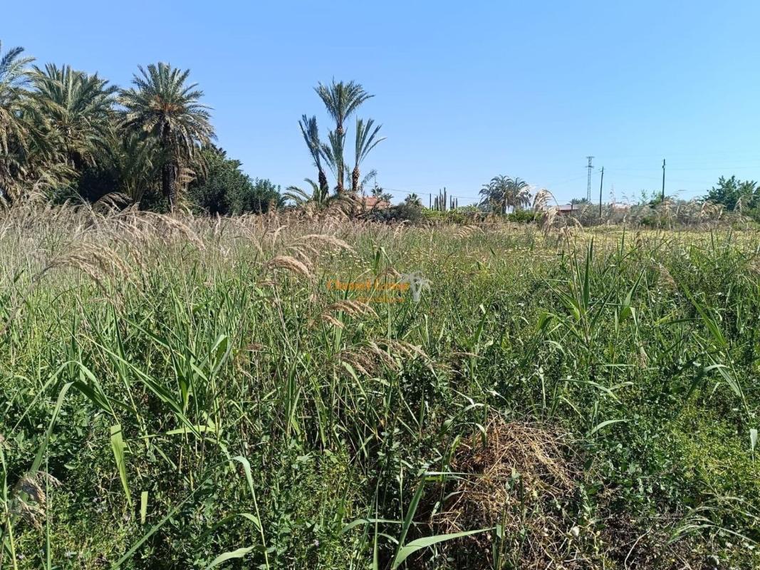 Terreno en venta en Elche / Elx, Alicante photo 1