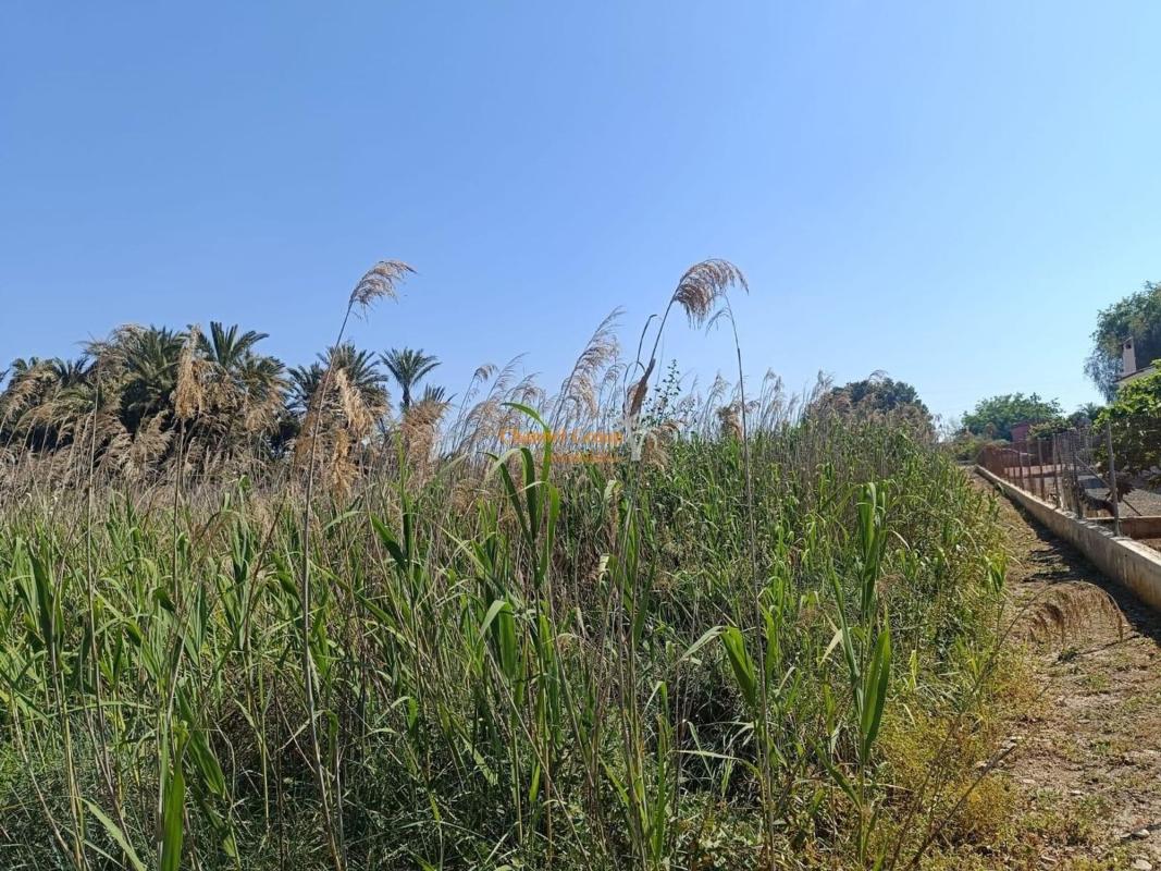 Terreno en venta en Elche / Elx, Alicante photo 2