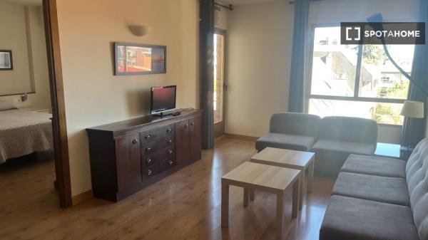 Apartment for rent in Avenida de Alberto Alcocer , Madrid thumbnail 1