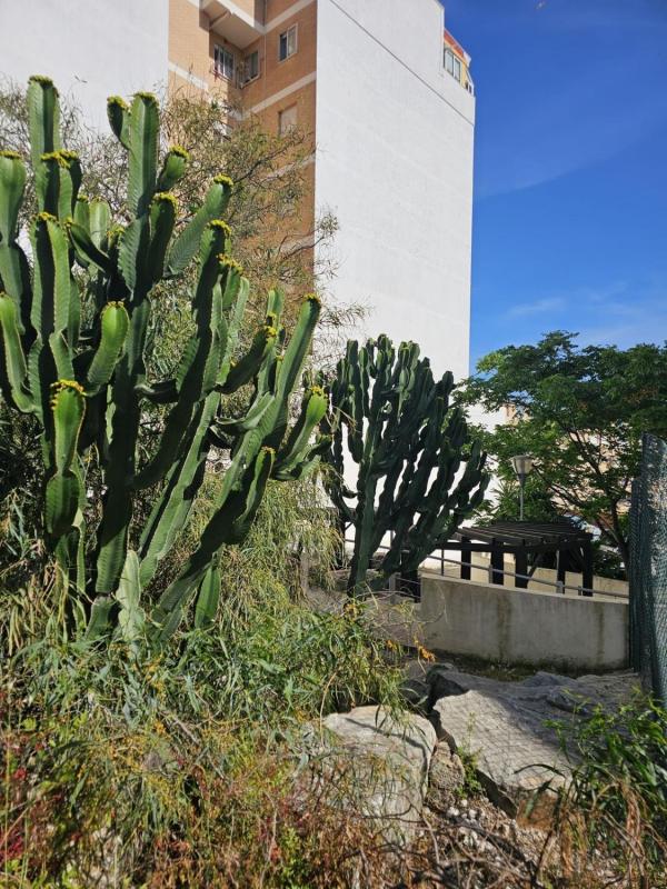 Venta de piso en Piso en Calle San Miguel, 5, Centro, Estepona, Estepona
photo 1
