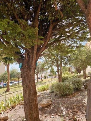 Sale of flat in Piso en Calle San Miguel, 5, Centro, Estepona, Estepona
thumbnail 2