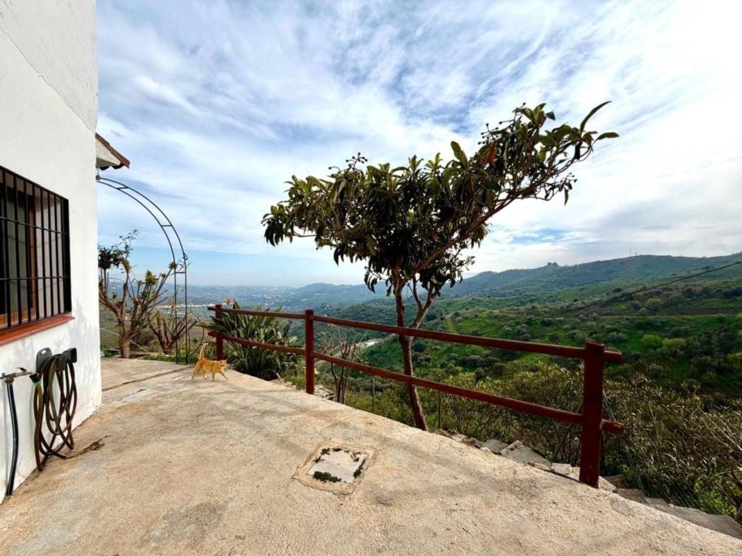 Продажа загородного участка в Finca rústica en Macharaviaya , Мачаравиаия photo 2