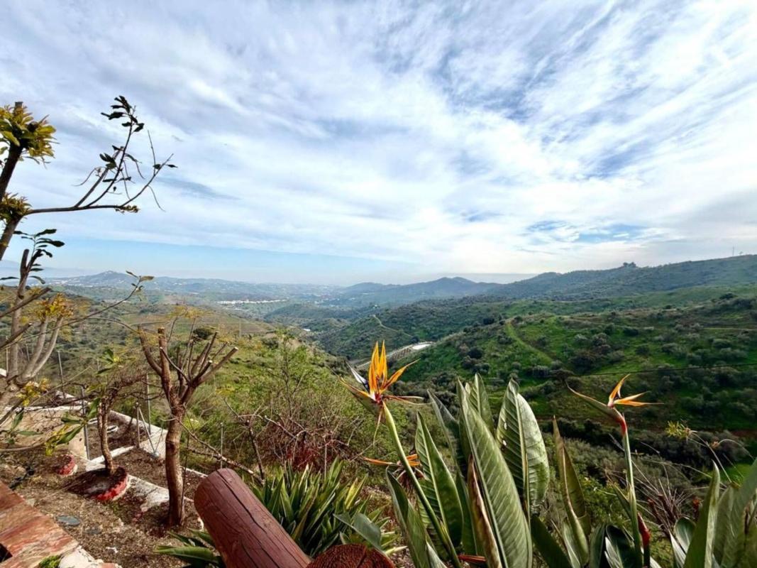 Продажа загородного участка в Finca rústica en Macharaviaya , Мачаравиаия photo 5