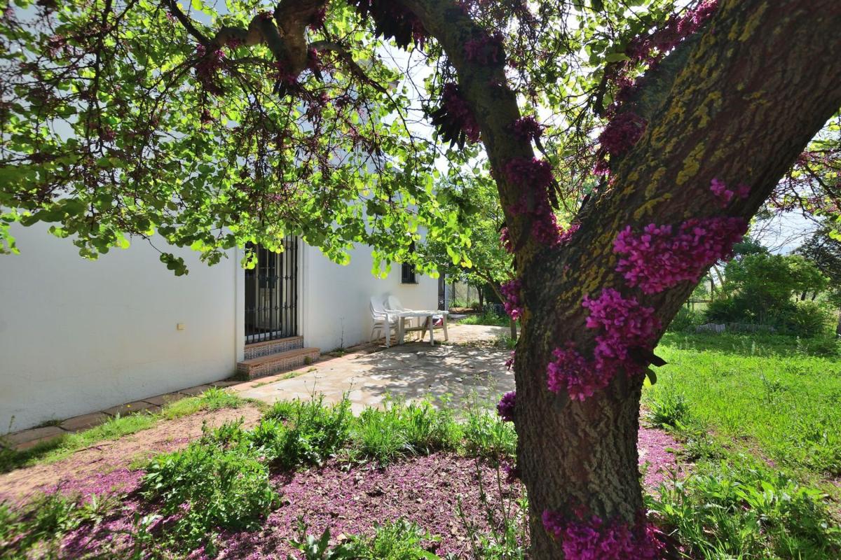 Properties for sale and rent in Spain photo 1