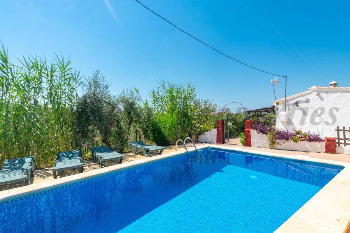 Properties for sale and rent in Spain photo 2