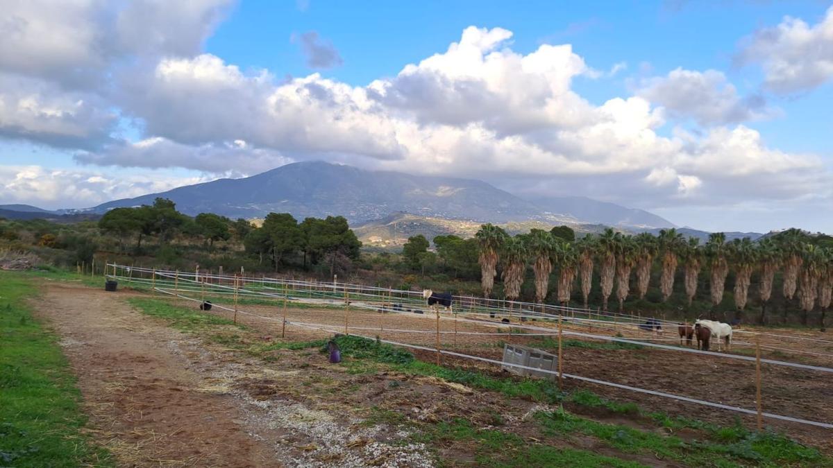 Venta de finca rústica en Finca rústica en Urbanización Mijas Hills, Campo de Mijas, Mijas , Mijas photo 1