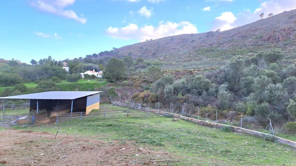 Venta de finca rústica en Finca rústica en Urbanización Mijas Hills, Campo de Mijas, Mijas , Mijas photo 2
