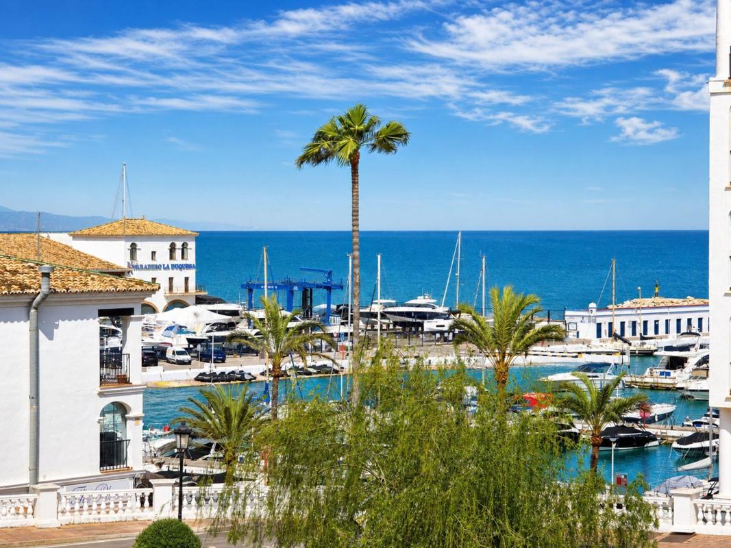 Properties for sale and rent in Spain photo 2