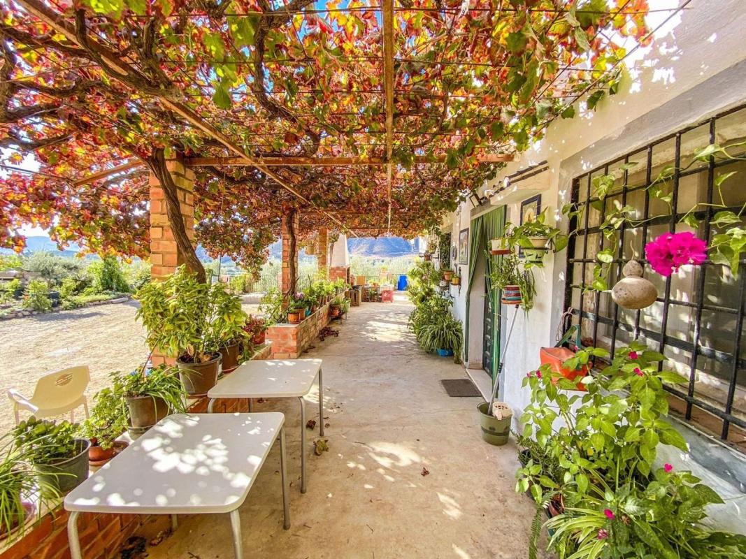 Продажа загородного участка в Finca rústica en Pasaje de Goya, Estación, Cártama , Картама photo 3