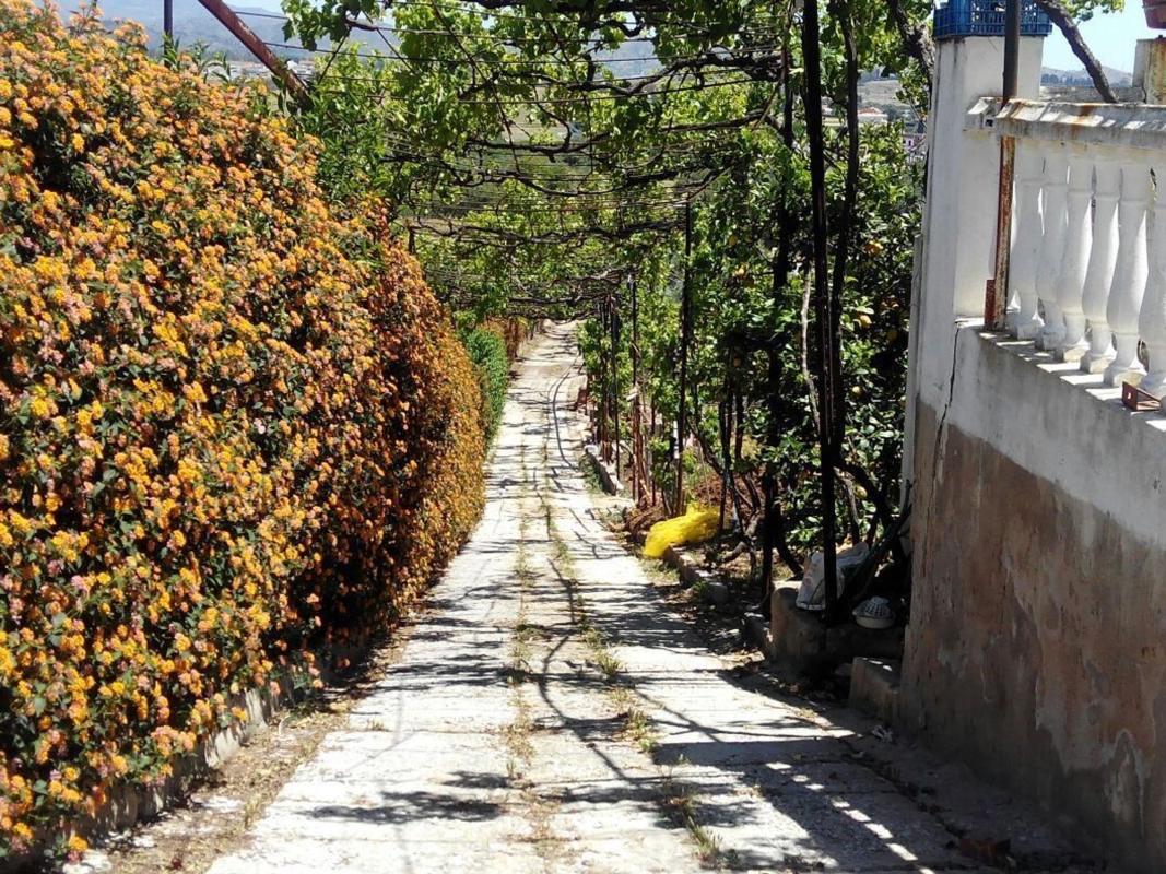 Продажа загородного участка в Finca rústica en Pasaje de Goya, Estación, Cártama , Картама photo 4
