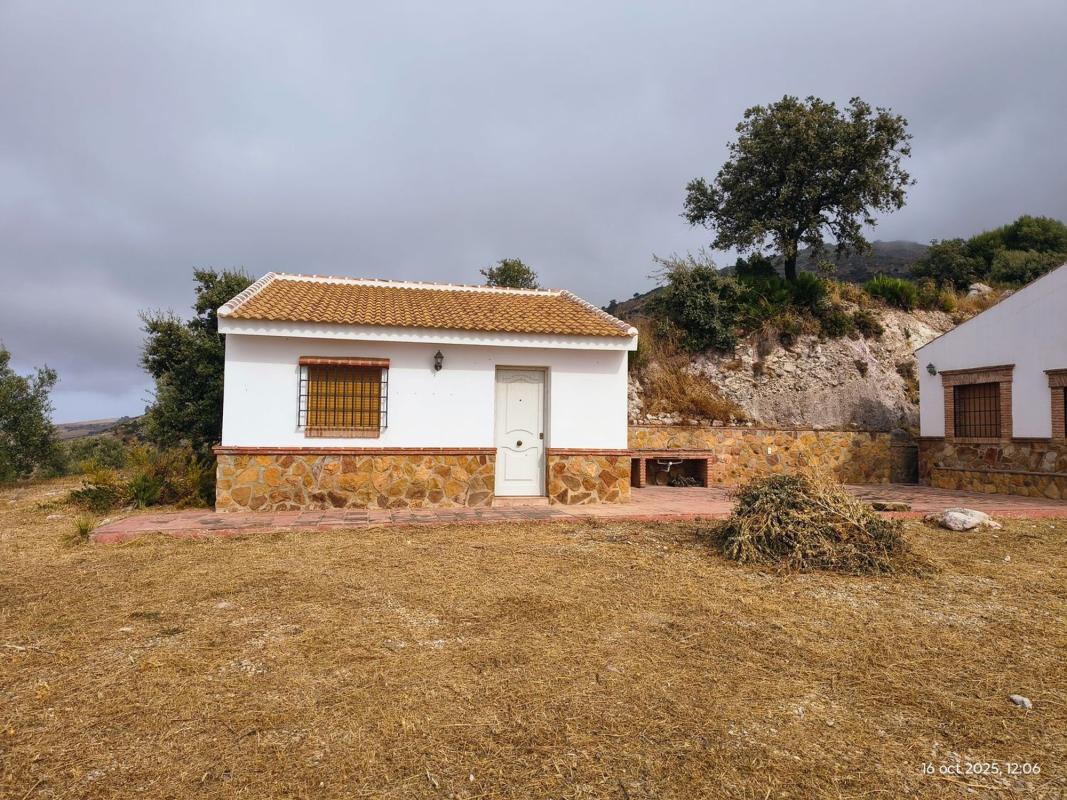 Properties for sale and rent in Spain photo 3