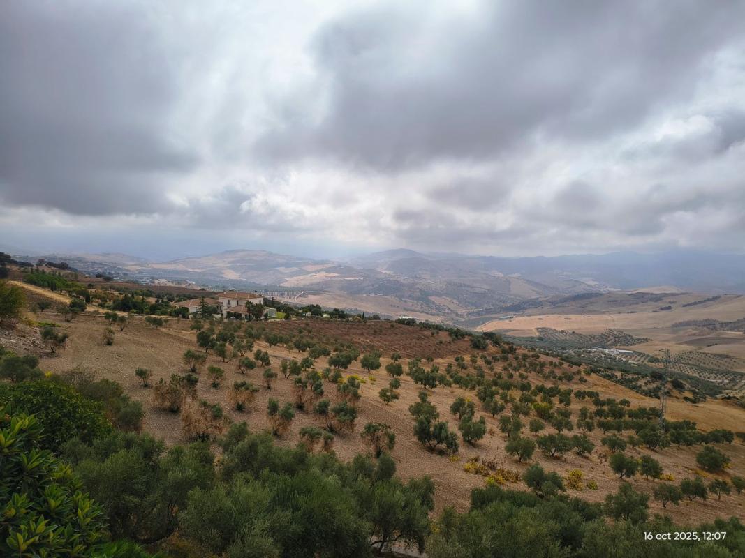 Properties for sale and rent in Spain photo 4