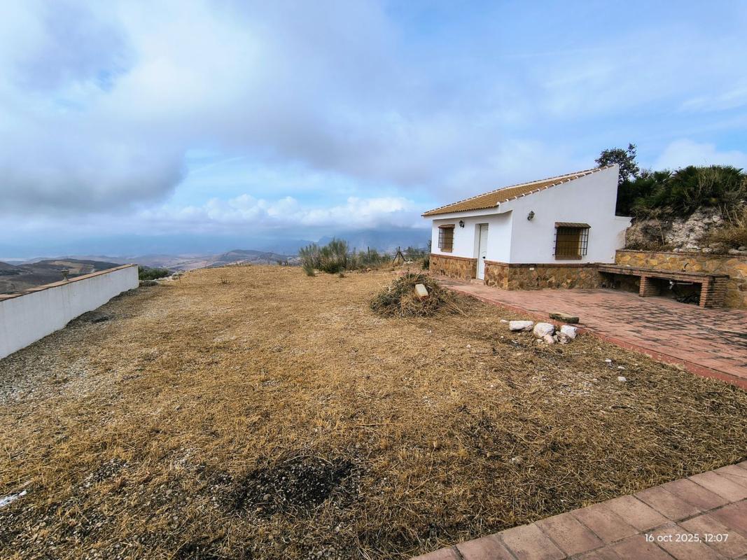 Properties for sale and rent in Spain photo 5