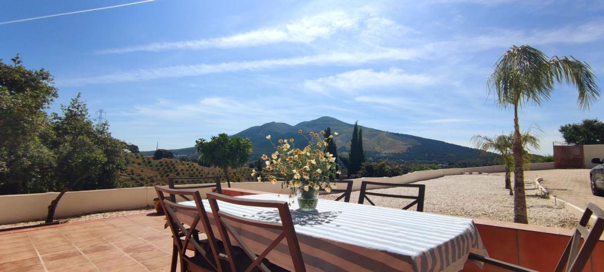 Venta de finca rústica en Finca rústica en Lomas, Las Lomas - Las Torres - Terrazas de Alhaurín, Alhaurín el Grande , Alhaurín el Grande photo 3
