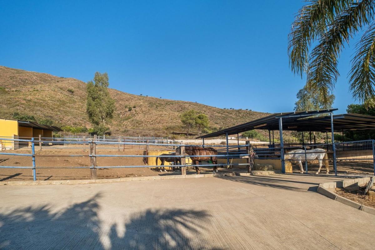 Продажа загородного участка в Finca rústica en Calaburra - Chaparral, Mijas , Михас photo 1