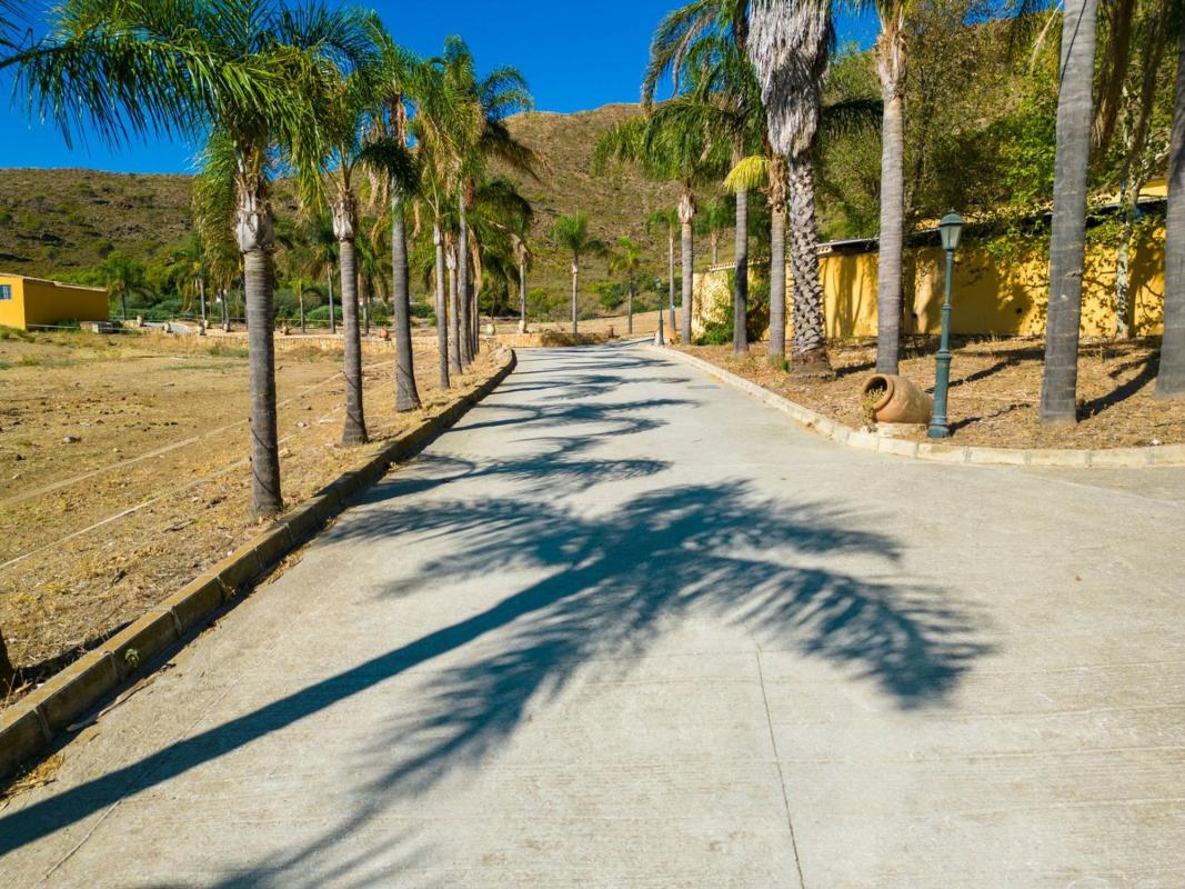 Продажа загородного участка в Finca rústica en Calaburra - Chaparral, Mijas , Михас photo 5
