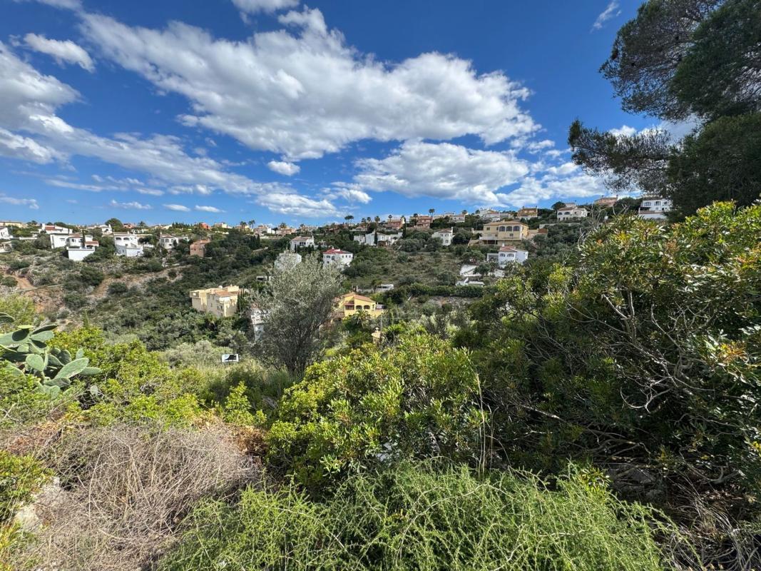 Land for sale in Pedreguer, Alicante photo 3