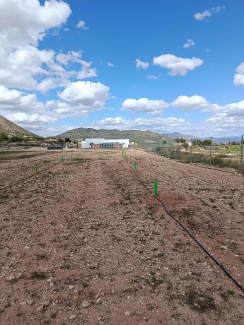 Terreno en cv840, 20, La Romana thumbnail 1