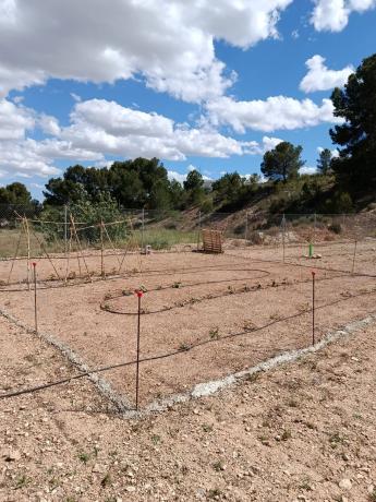 Terreno en cv840, 20, La Romana photo 4