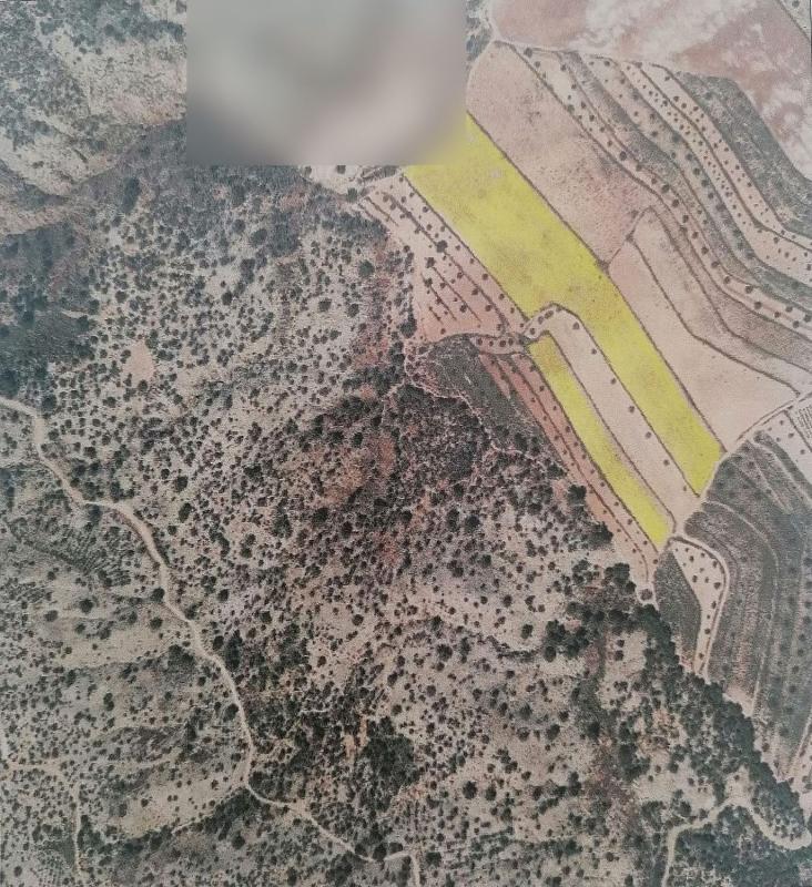 Terreno en venta en Pinoso, Alicante photo 1