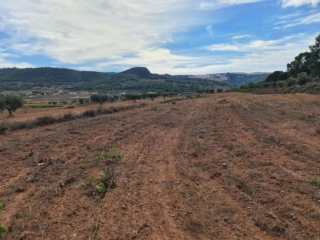 Terreno en venta en Pinoso, Alicante photo 2