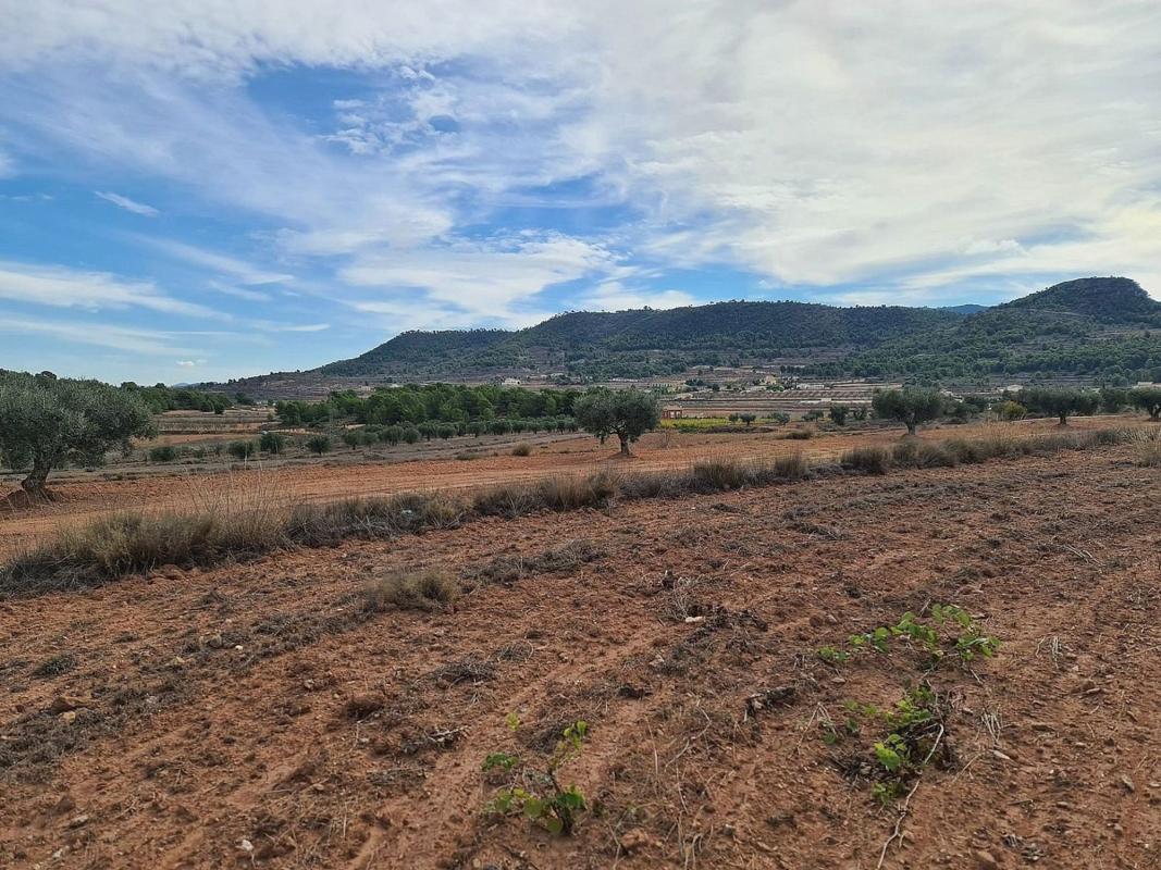 Terreno en venta en Pinoso, Alicante photo 4