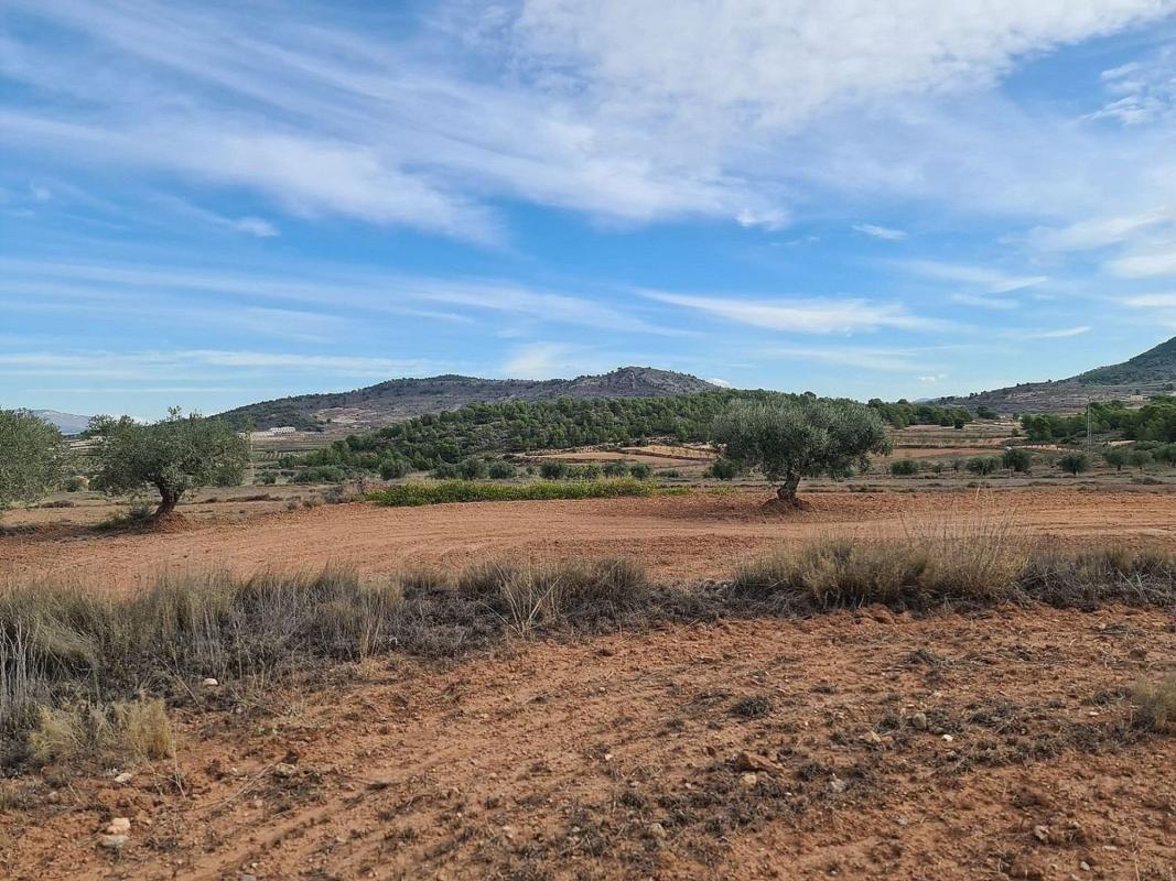 Terreno en venta en Pinoso, Alicante photo 5