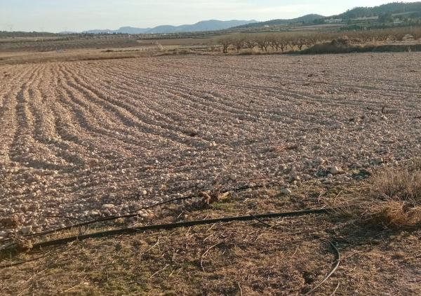 Terreno en Salinas photo 2