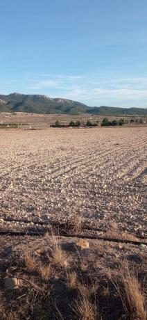 Terreno en Salinas photo 4