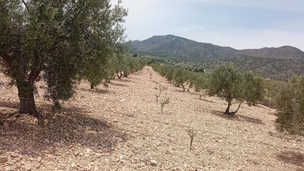 Terreno en Salinas photo 1