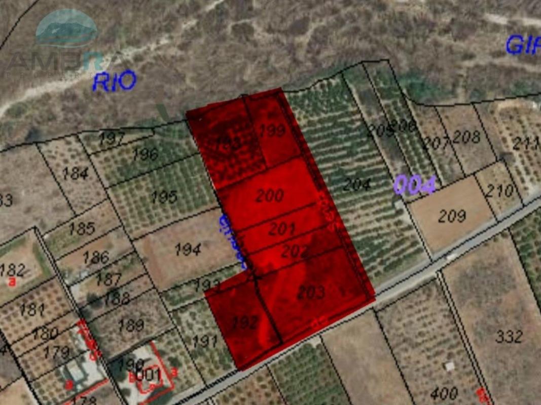 Land for sale in Beniarbeig, Alicante photo 2