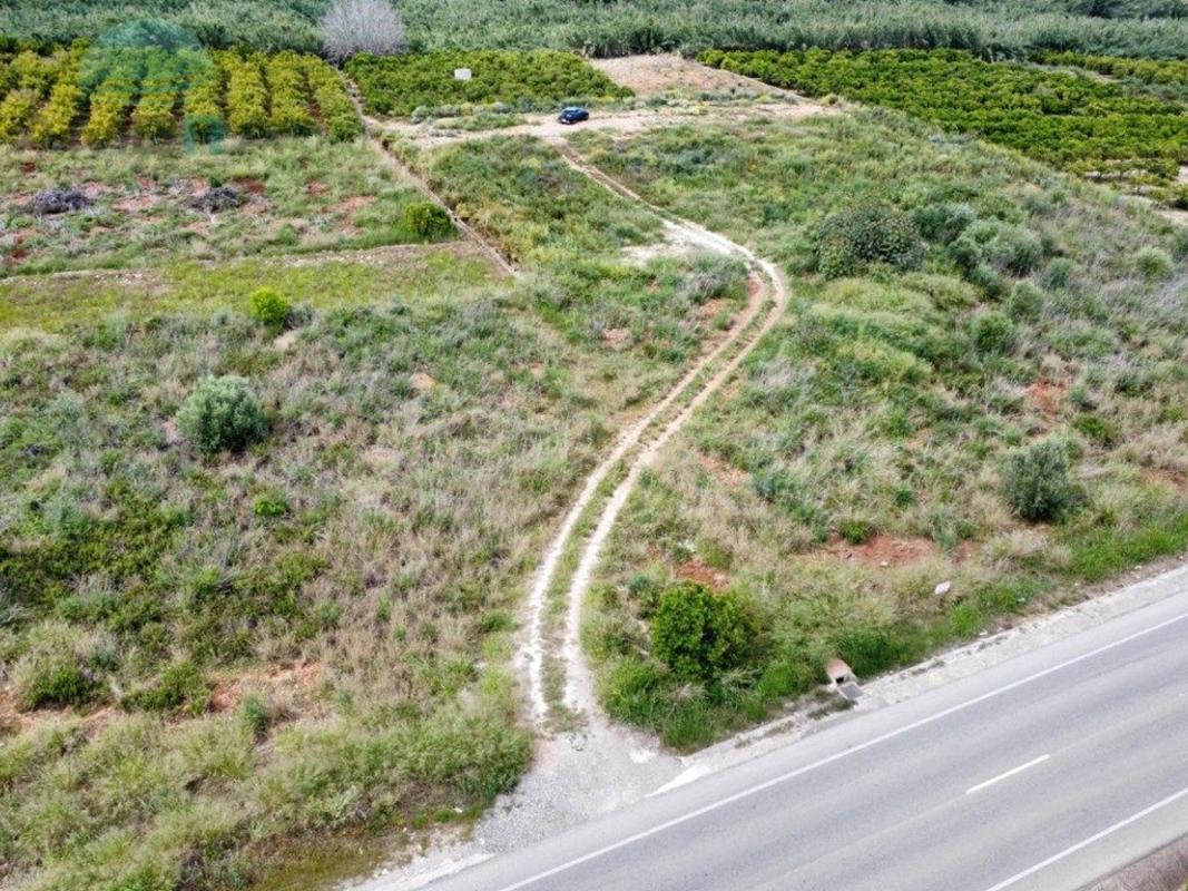 Land for sale in Beniarbeig, Alicante photo 3