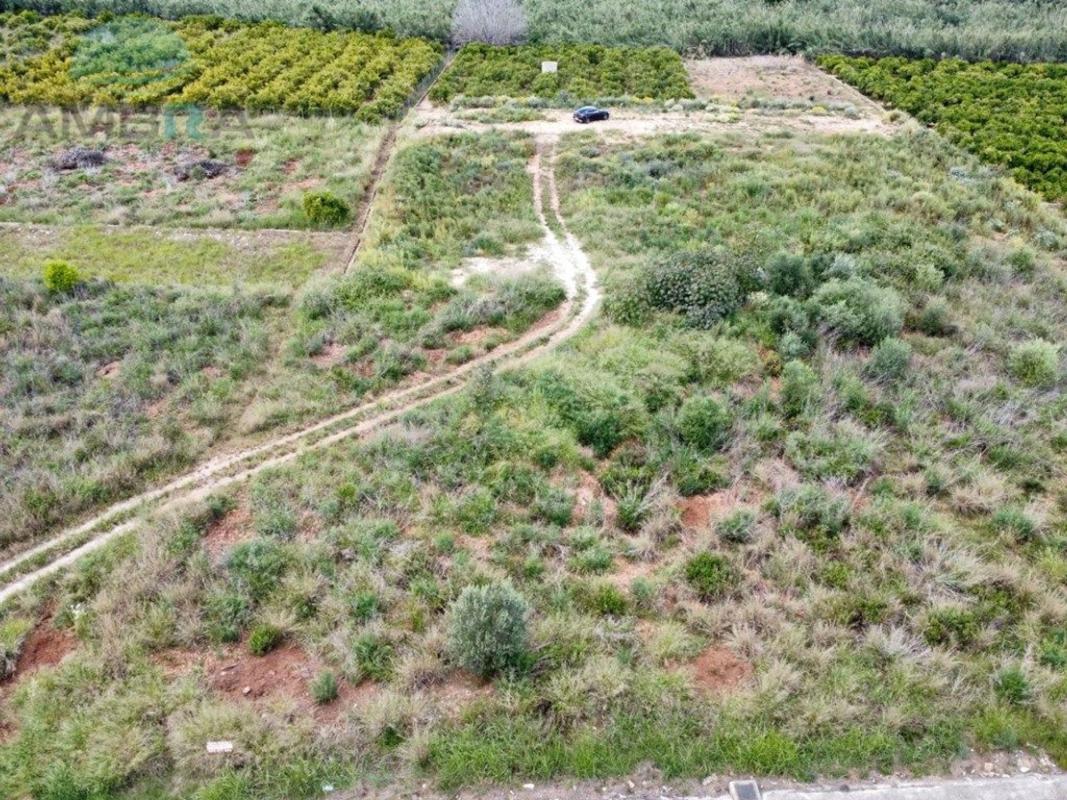 Land for sale in Beniarbeig, Alicante photo 4