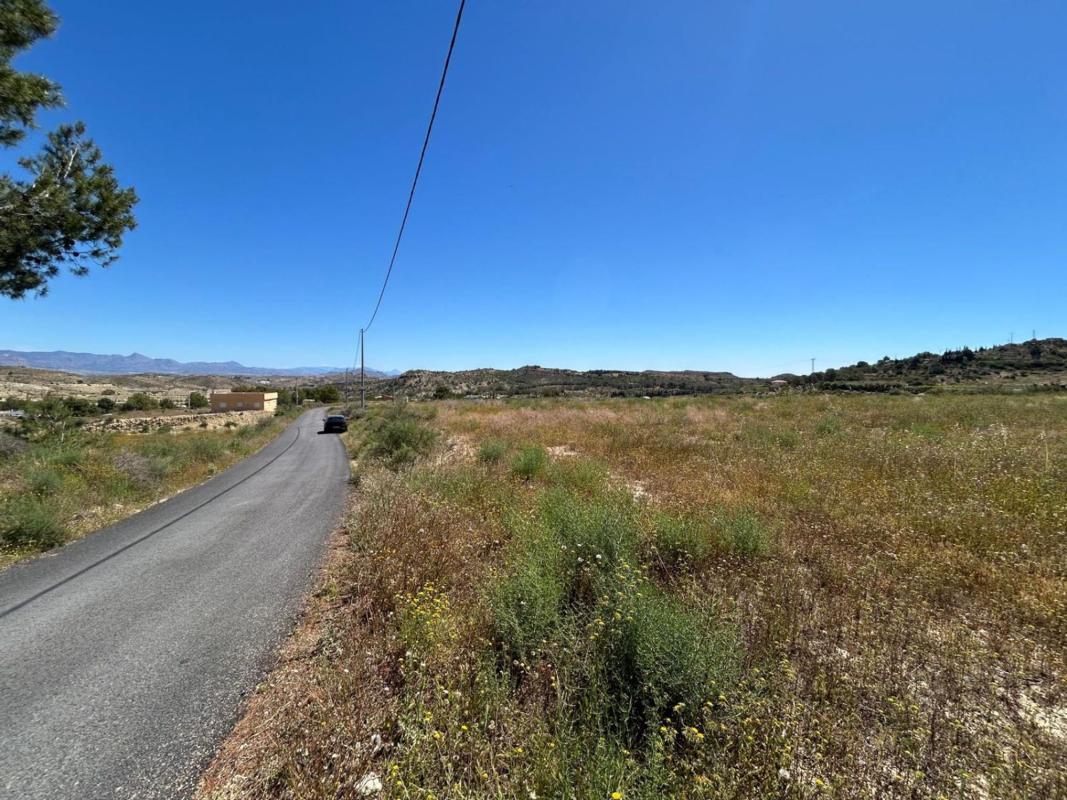 Land for sale in Crevillente, Alicante photo 1