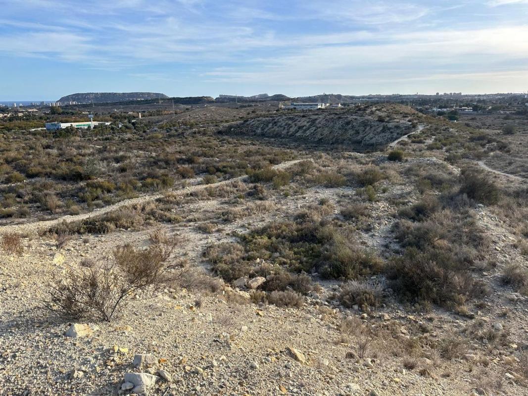 Terreno en venta en Alicante / Alacant, Alicante photo 5