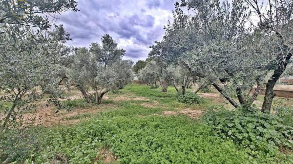 Terreno en Calle Cabo de Palos, Cañada del Fenollar thumbnail 1