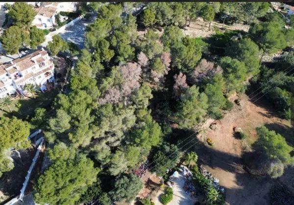 Terreno en Pinar de Advocat-Cometa, Pinar de Advocat-Cometa, Moraira thumbnail 2