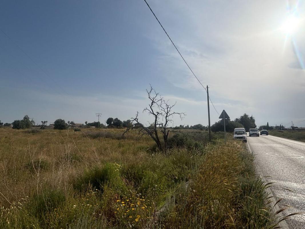 Terreno en venta en Elche / Elx, Alicante photo 4