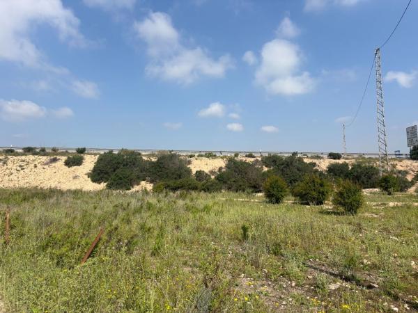 Terreno en La Marina, Elche / Elx photo 1