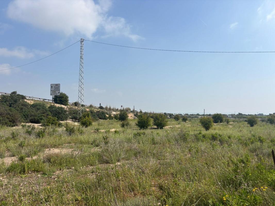 Terreno en venta en Elche / Elx, Alicante photo 3