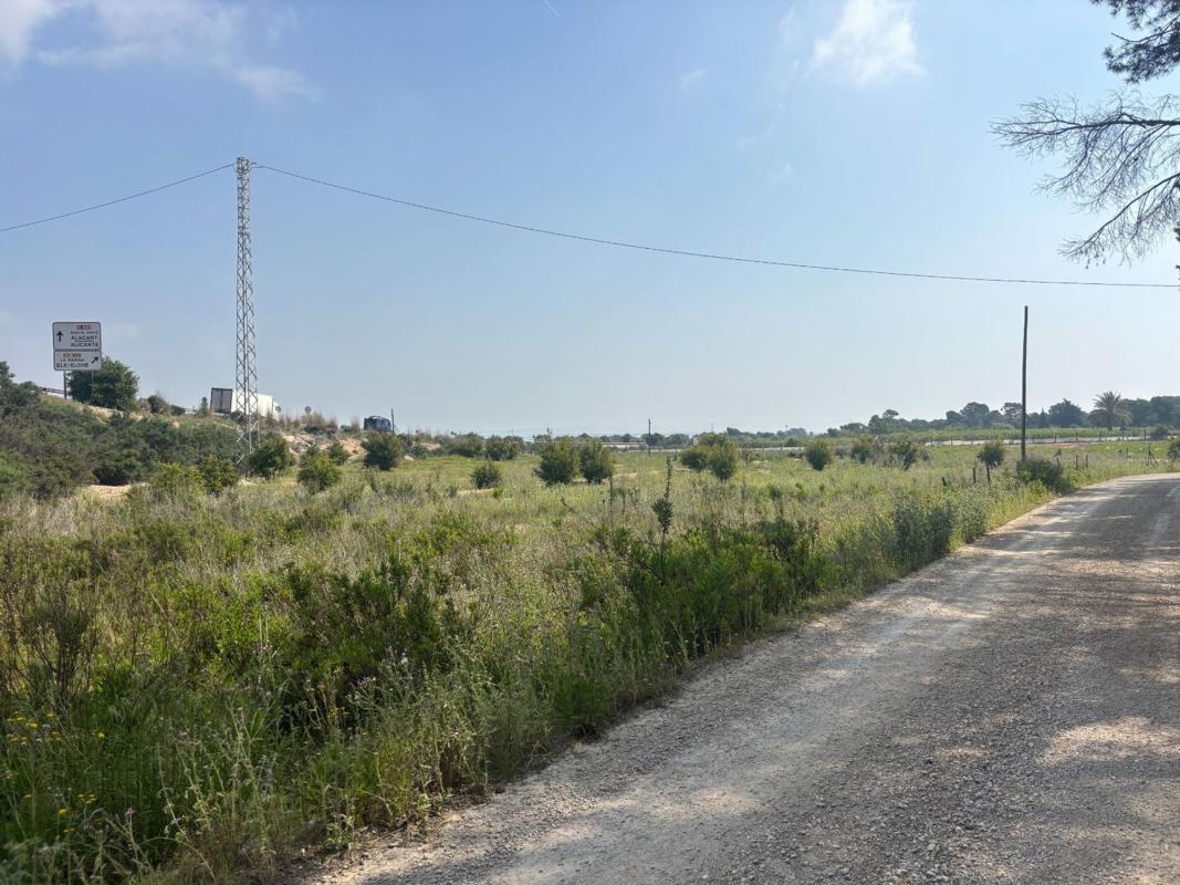 Terreno en venta en Elche / Elx, Alicante photo 4