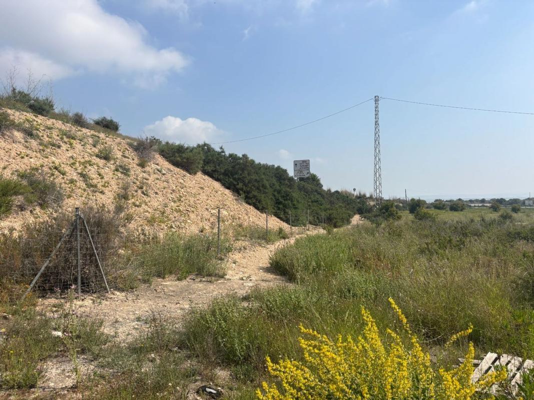 Terreno en venta en Elche / Elx, Alicante photo 3