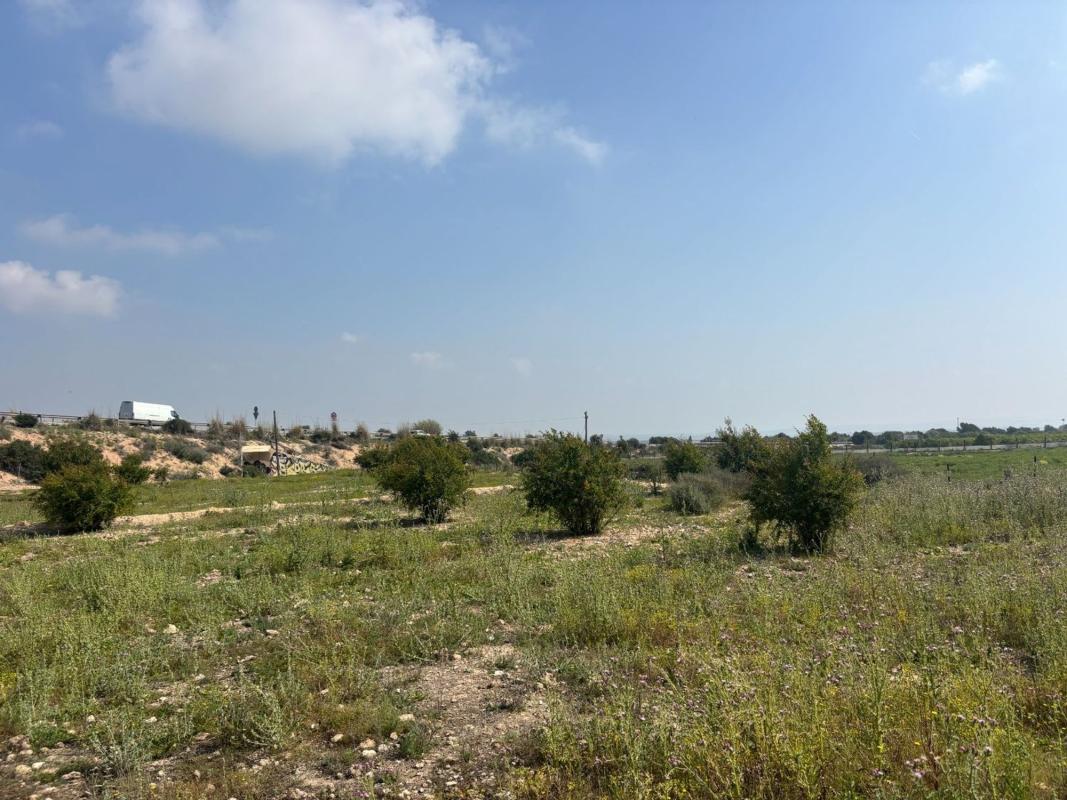 Terreno en venta en Elche / Elx, Alicante photo 5