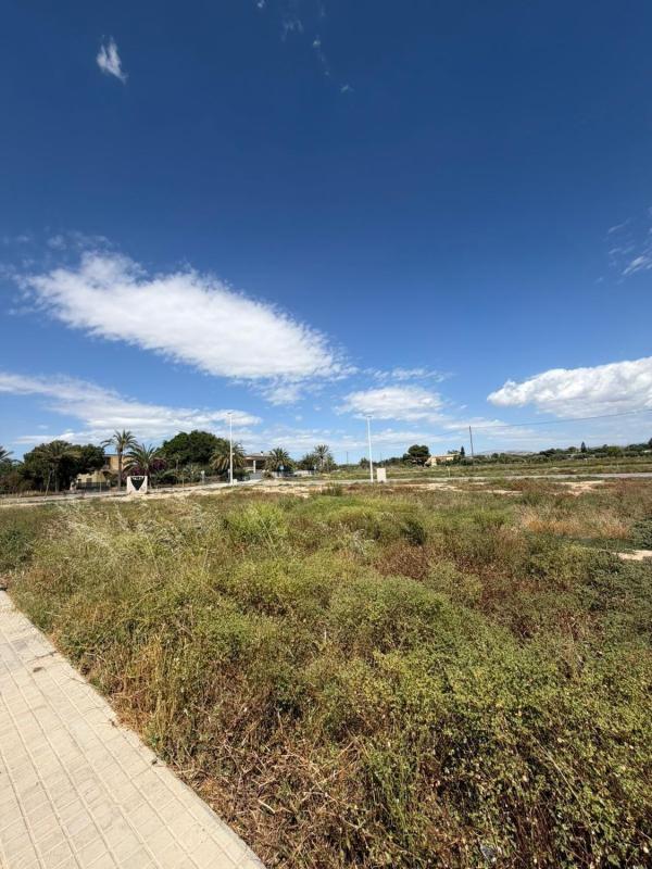 Terreno en venta en Elche / Elx, Alicante photo 2