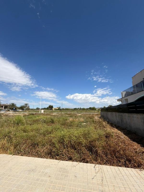 Terreno en venta en Elche / Elx, Alicante photo 3